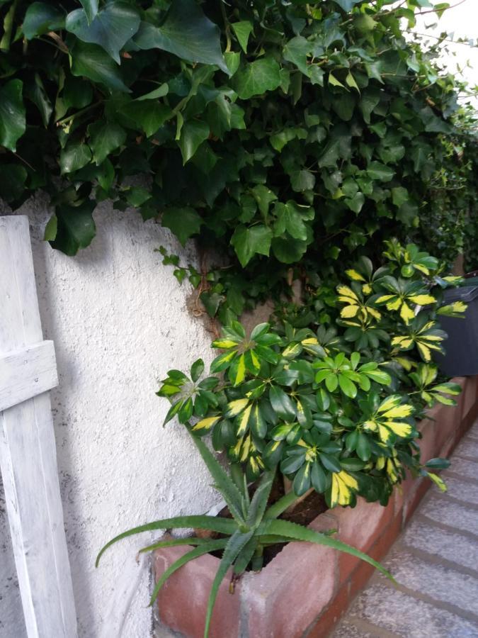 Bilocale Pascoli Holiday home *